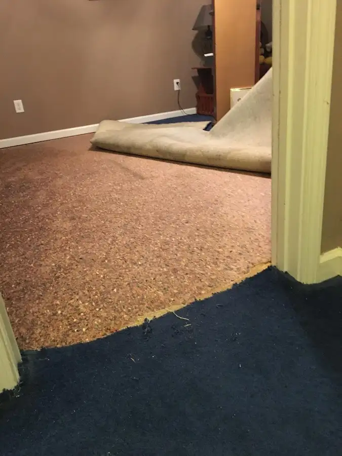 Carpet pad removal revealing water damage during Drying & Dehumidification in Dallas